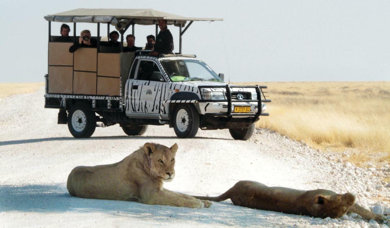 Gondwana Etosha Safari Lodge Okaukuejo Exteriör bild